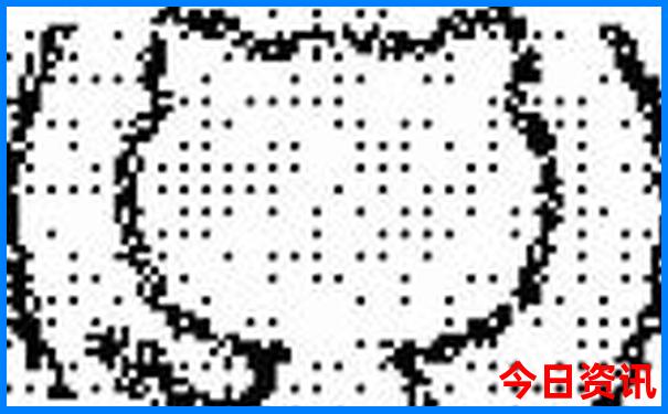 夏天8月份适合去哪儿旅游